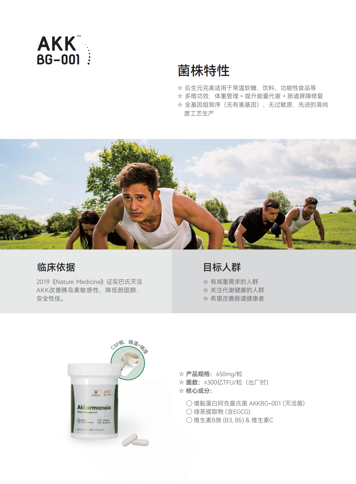 AKK202509三折页-中文_04